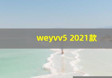 weyvv5 2021款